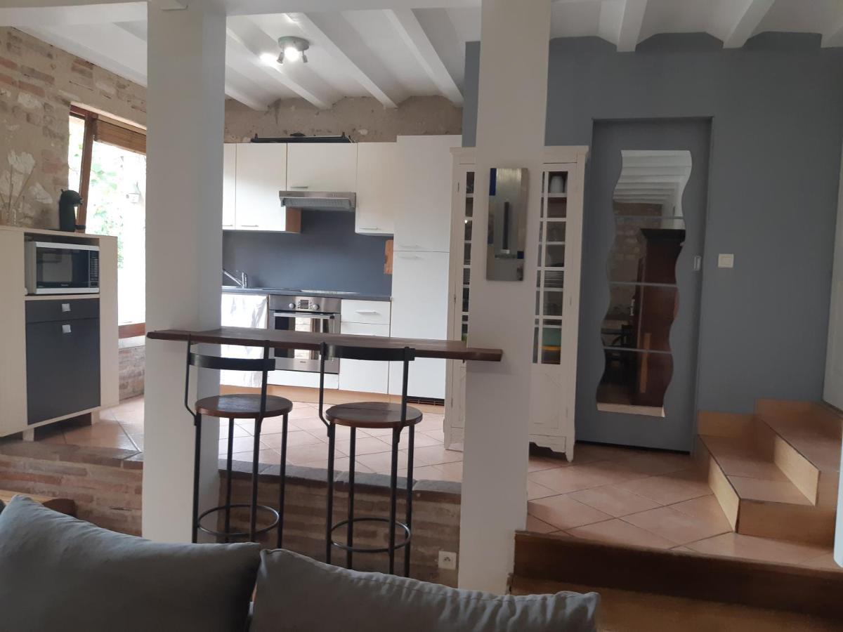 Charmant Appartement Vue Sur La Riviere. Albi Exteriör bild