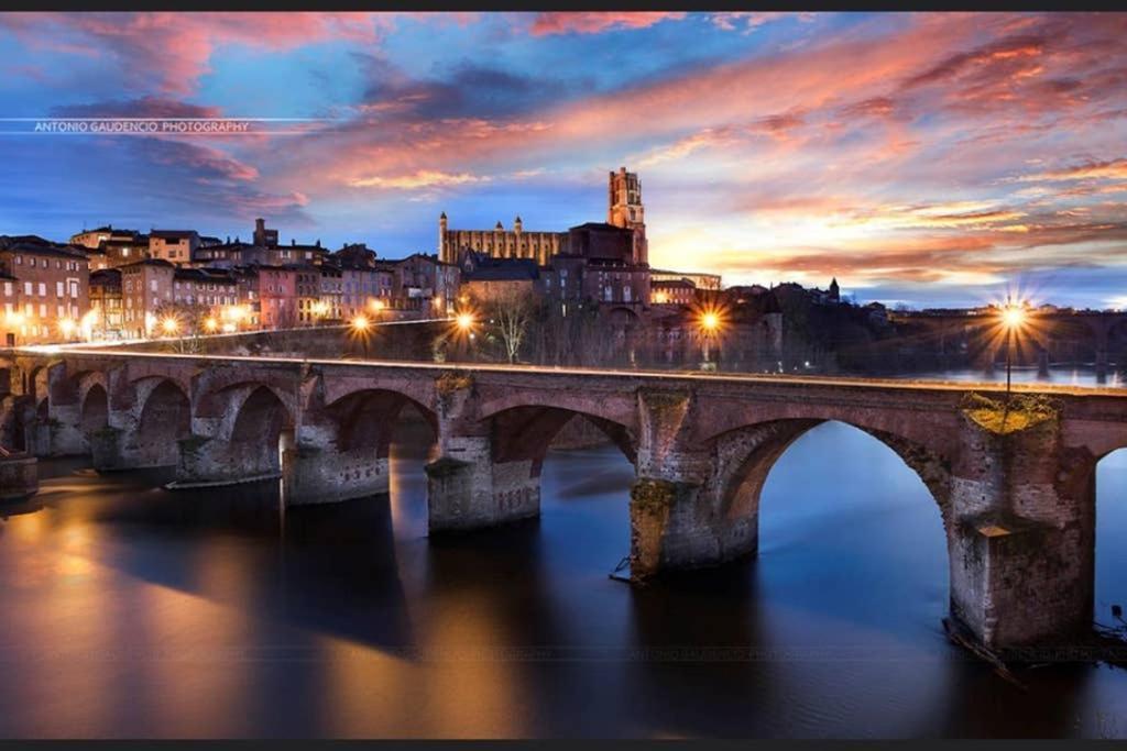 Charmant Appartement Vue Sur La Riviere. Albi Exteriör bild