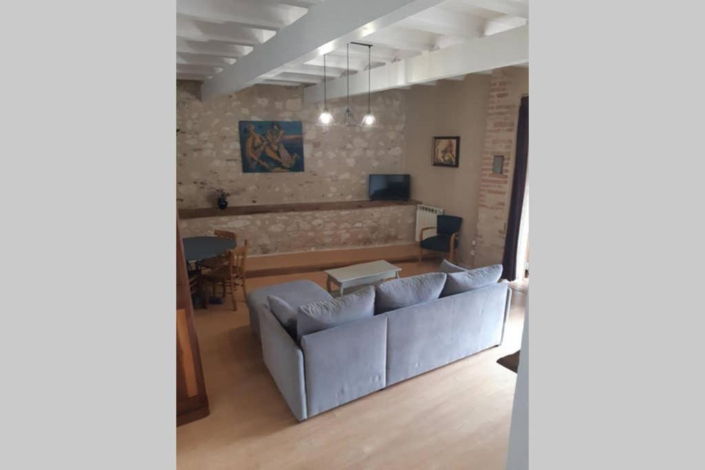 Charmant Appartement Vue Sur La Riviere. Albi Exteriör bild