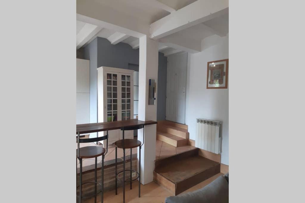 Charmant Appartement Vue Sur La Riviere. Albi Exteriör bild