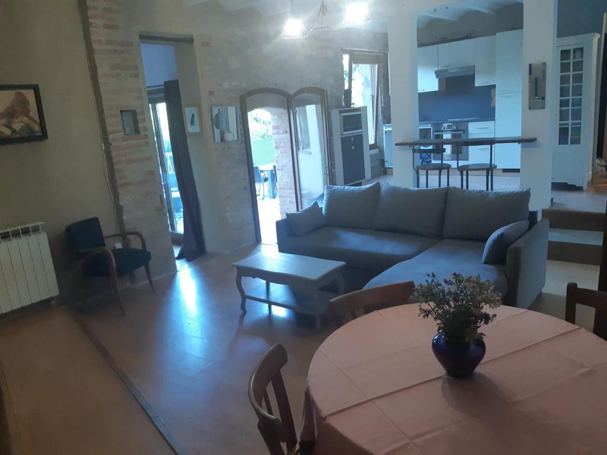 Charmant Appartement Vue Sur La Riviere. Albi Exteriör bild