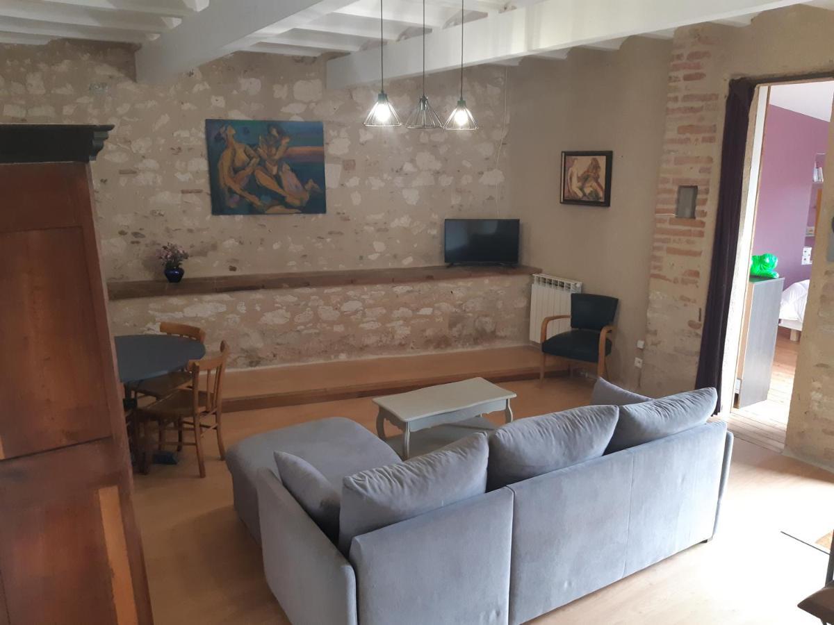 Charmant Appartement Vue Sur La Riviere. Albi Exteriör bild